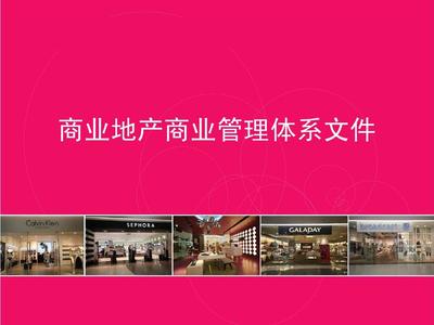 商业地产商业管理体系文件